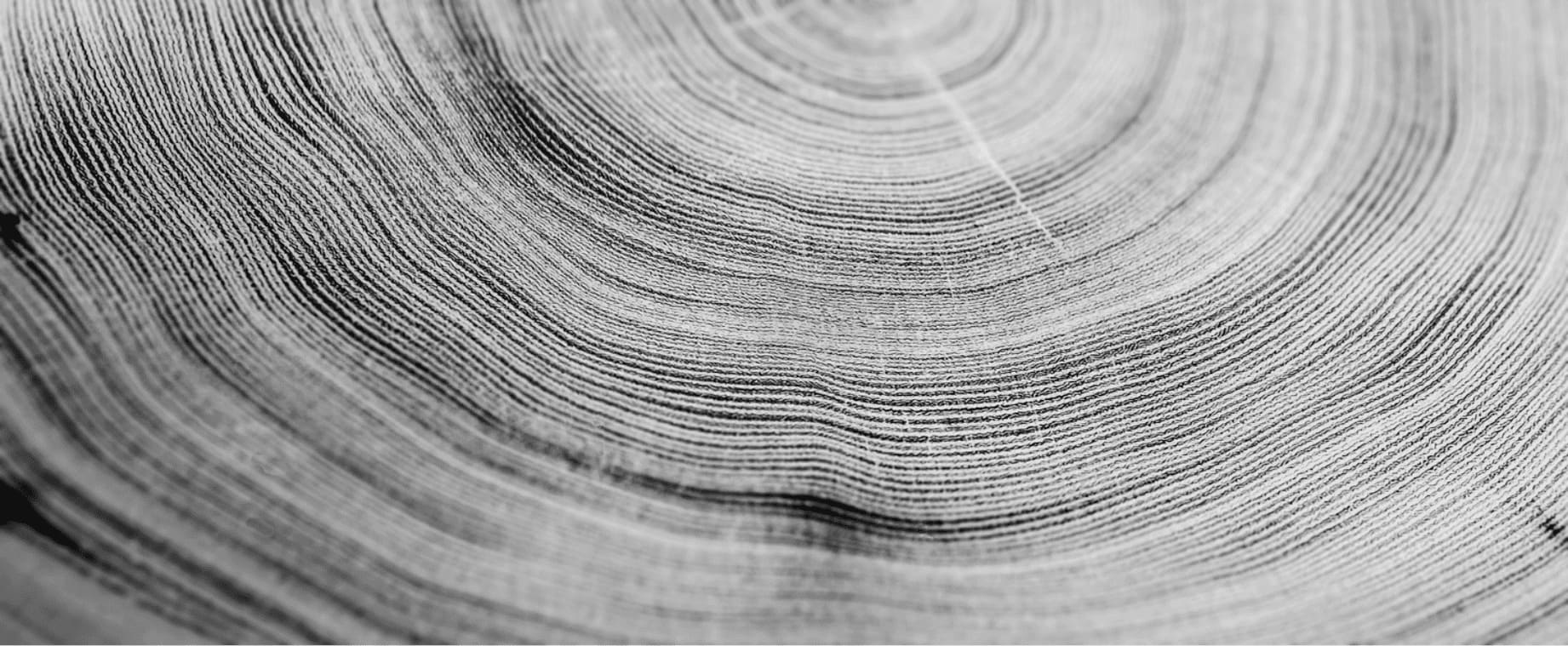 木の年輪が刻む時の流れ、円を描き、光が放たれる。