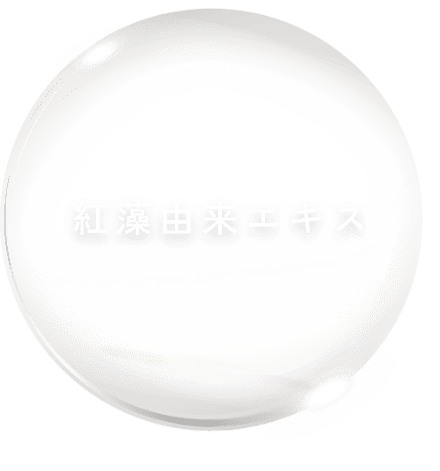 紅藻由来エキス