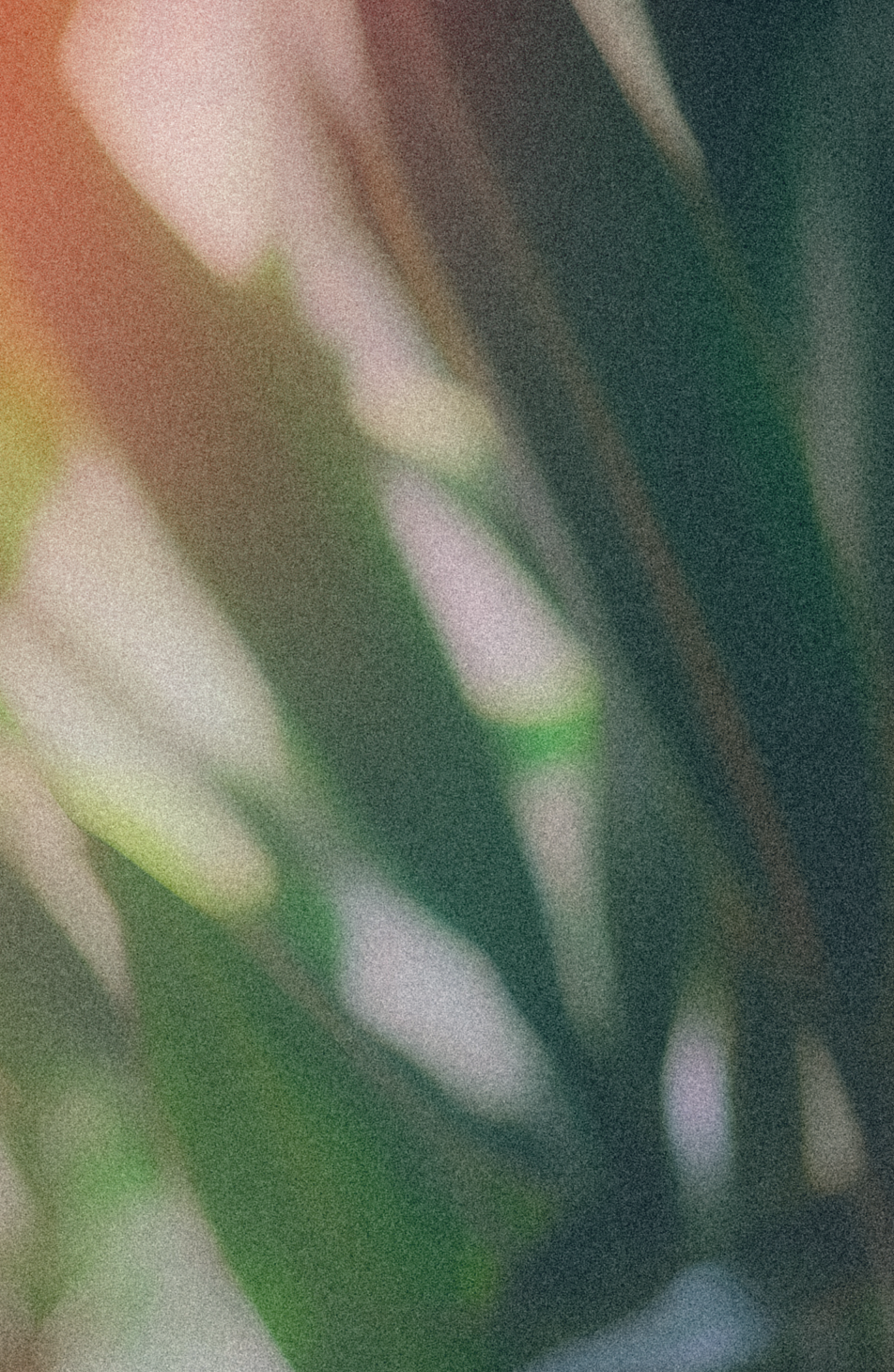 商品イメージ画像