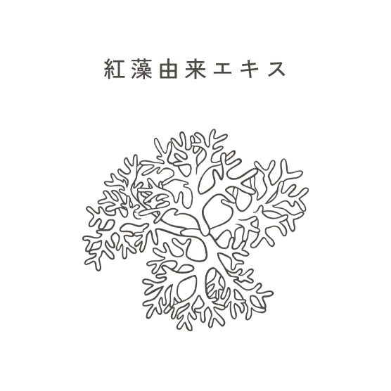 紅藻由来エキス