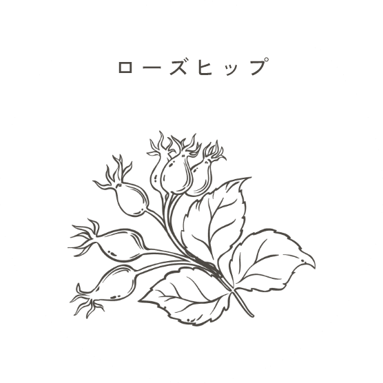 ローズヒップ