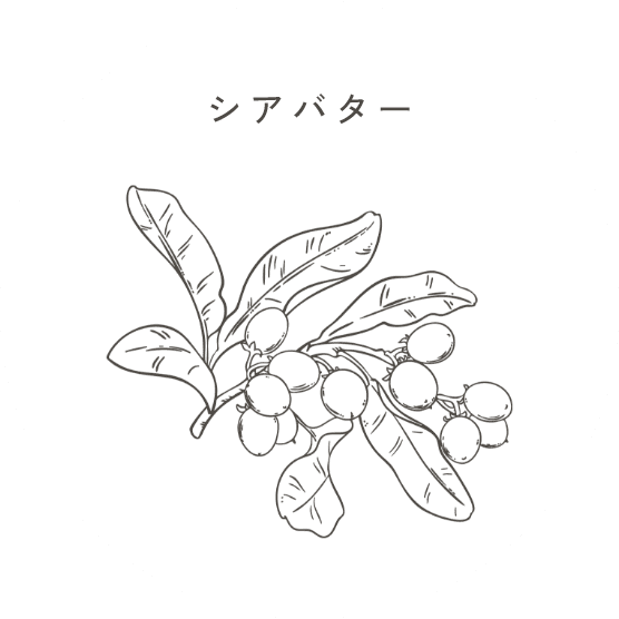 シアバター